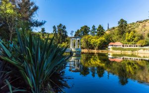 Miséricorde: Un Thriller Rural de Tensión Psicosexual